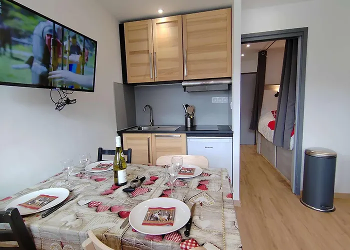 Appartement De 23m² Skis Aux Pieds, Renove, Balcon Est, Max 4 Pers - Fr-1-545-52 *