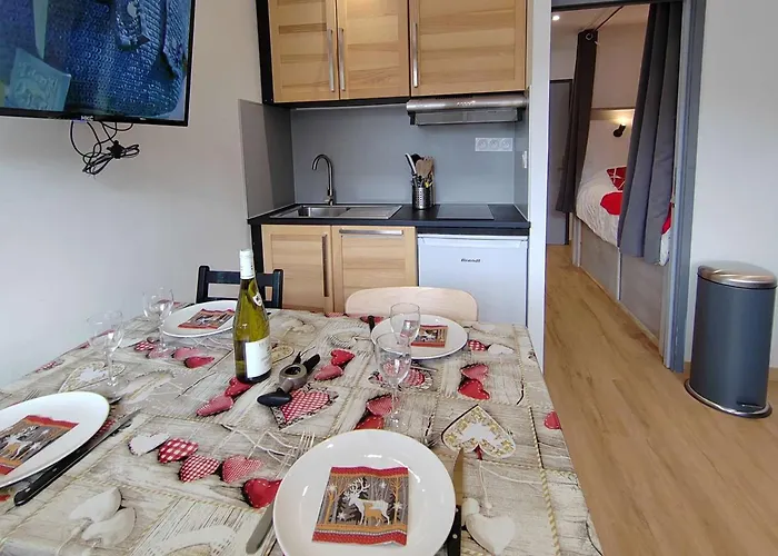 Apartment De 23m² Skis Aux Pieds, Renove, Balcon Est, Max 4 Pers - Fr-1-545-52